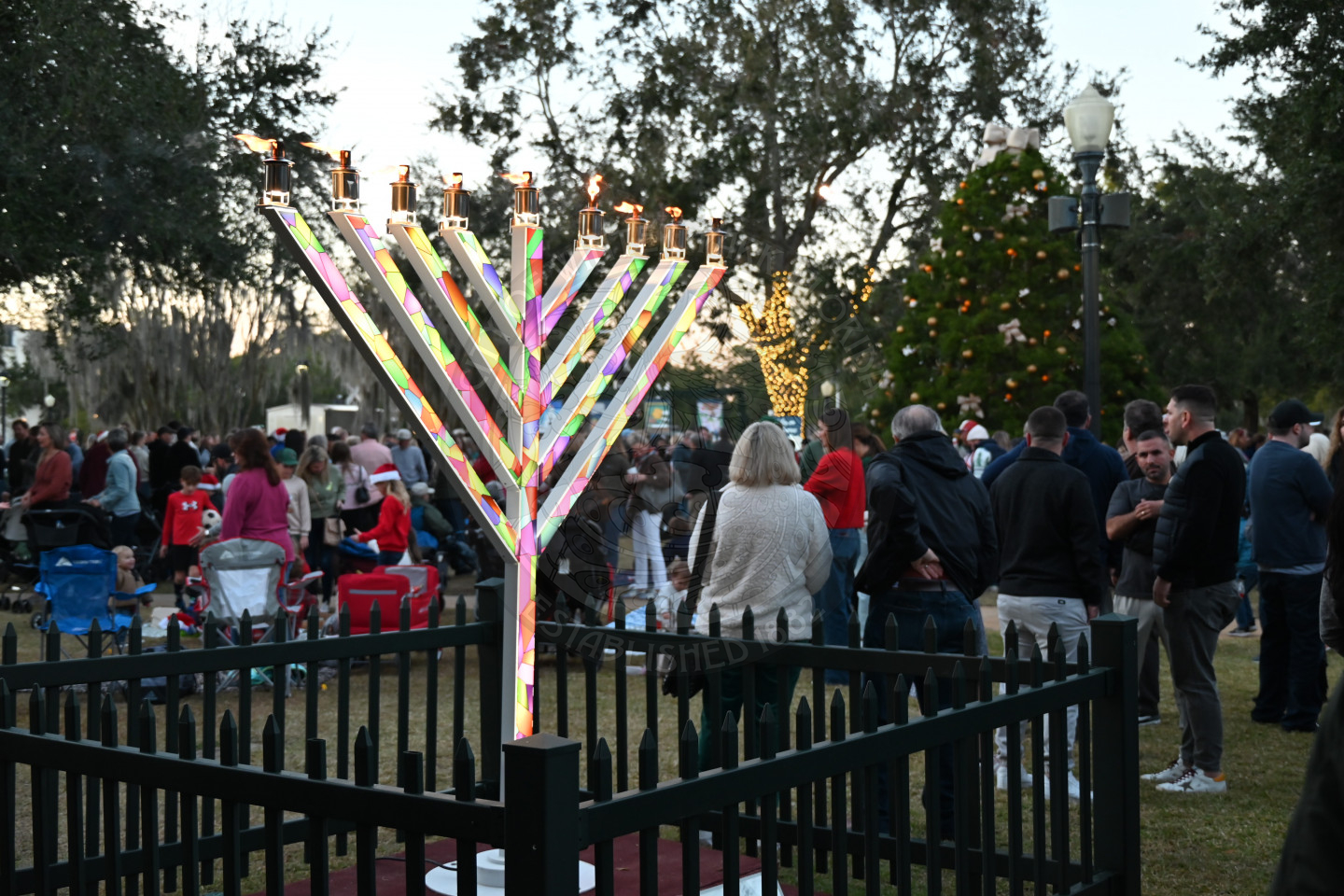 A menorah lit with a fence around it.