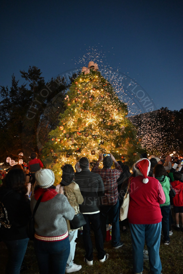 Christmas tree lighting with confetti going off on the side. Everyone is standing in front of it in awe.