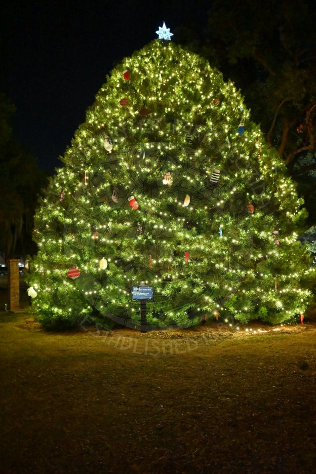 a huge tree with lights and ornaments on it.