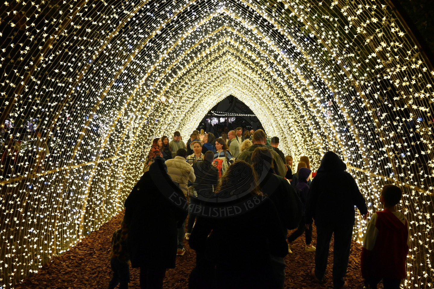 a cathedral of lights with people walking underneath them.