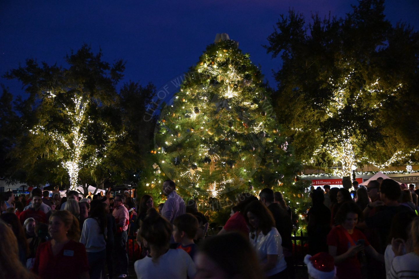 Festive Christmas tree with lights surrounded by a crowd of people at night. There are a few people in the crowd taking photos of the tree. There are nearby trees with twinkling lights