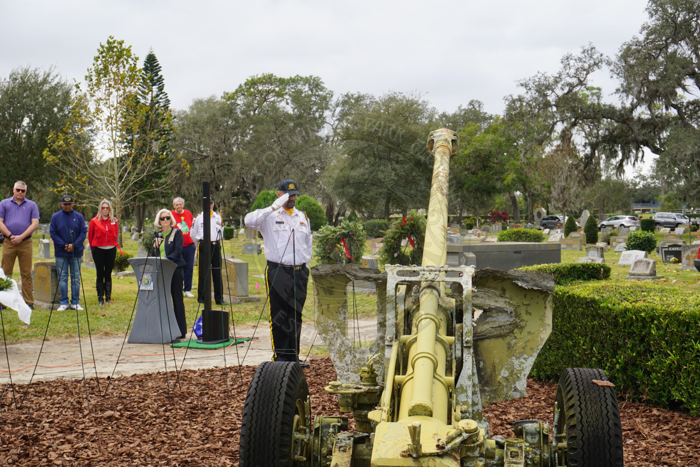 a man saluting to the miltary branch wreath he placed on a stand.