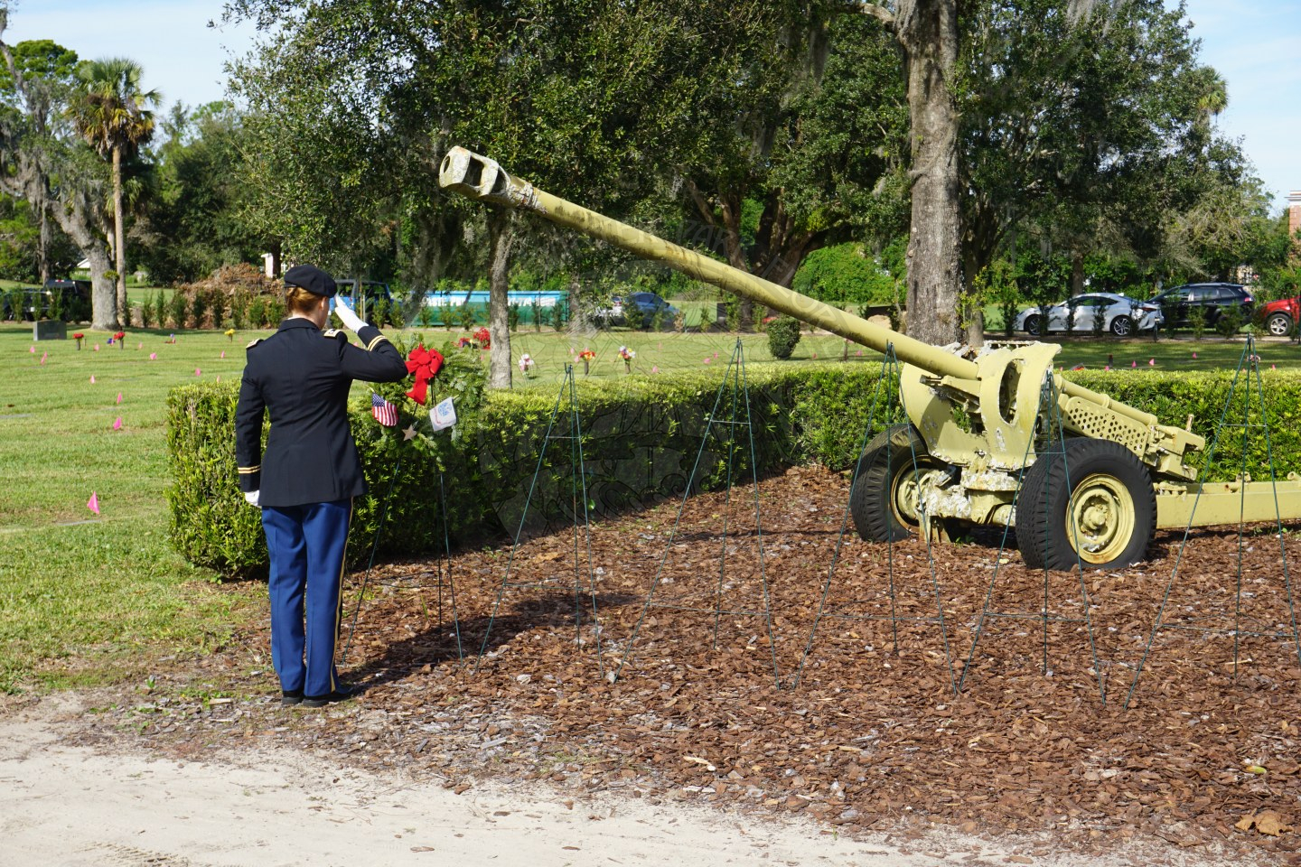 Veteran saluting to wreath at Palm Cemetary