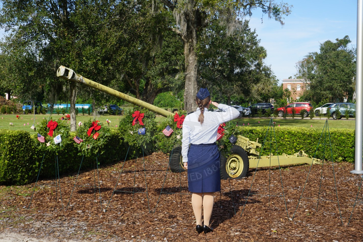 Veteran saluting to wreath at Palm Cemetary