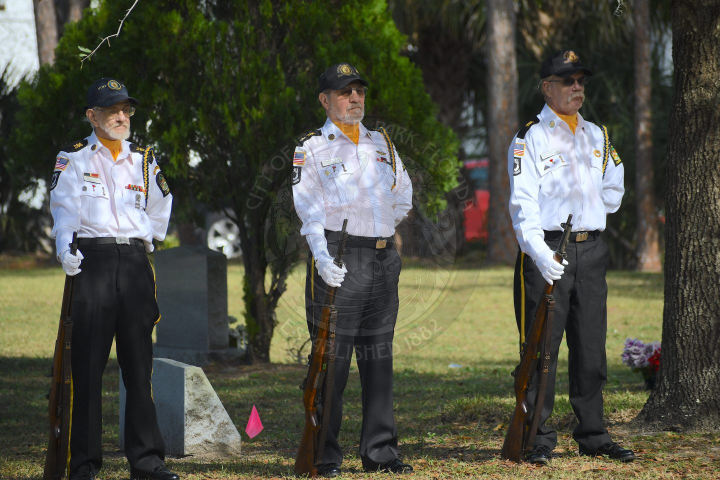Veterans standing in graveyard