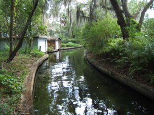 Small boat canal in Winter Park surrounded by vegetarion