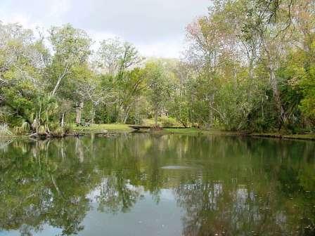 Mead Botanical Garden Lake