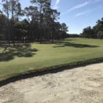 Winter Park Golf Course, green field, trees and part of a bunker