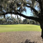 Winter Park Golf Course, tree and green field