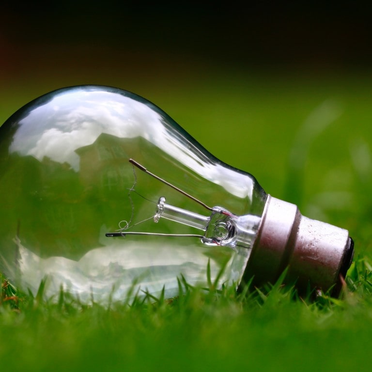 Light bulb laying on a grassy field