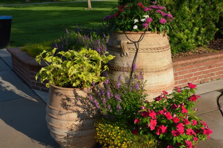 Three large terra cotta flower pots