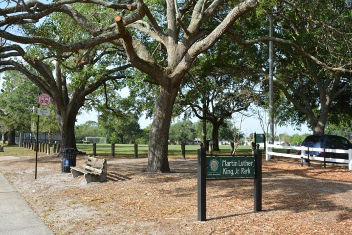 Martin Luther King Jr. Park sign with a big tree behind it