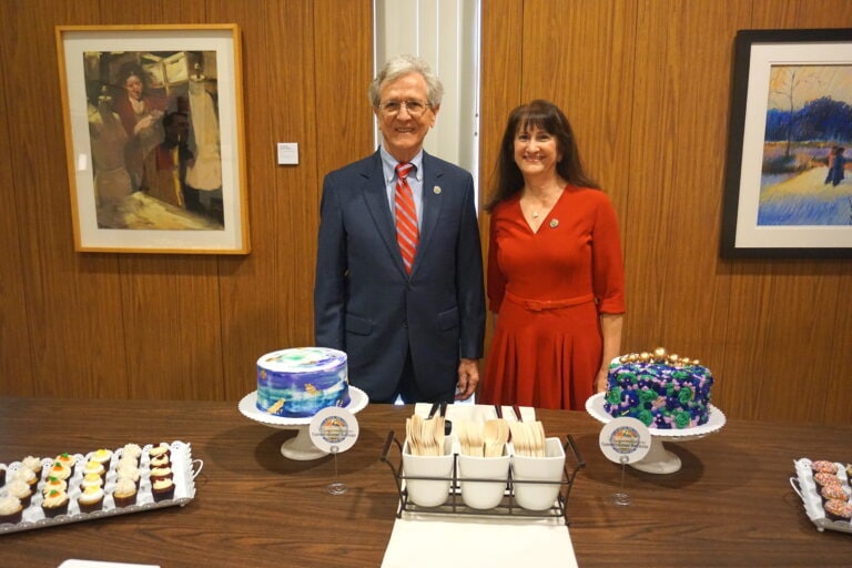 Commissioner DeCiccio and Sullivan standing behind their cakes and smiling for the picture