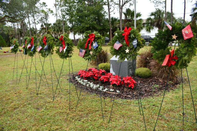 A picture of 8 military wreaths standing on easles.