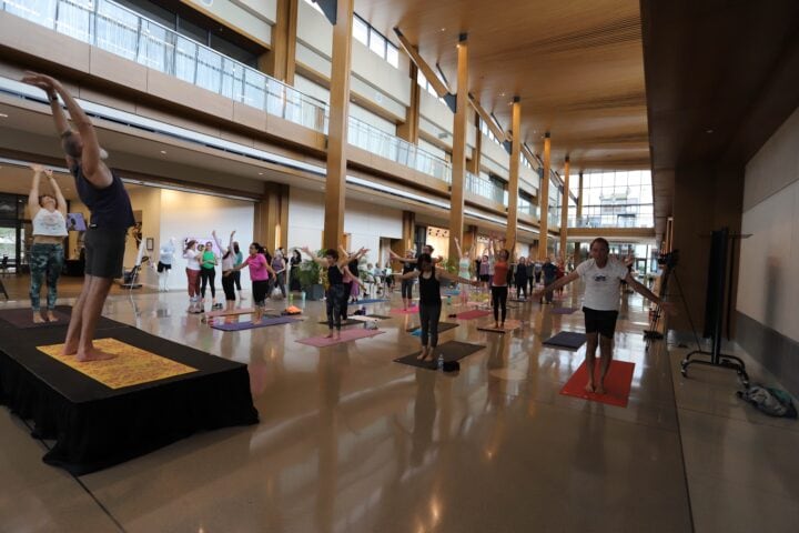 group of people standing on yoga mats in a building in yoga poses