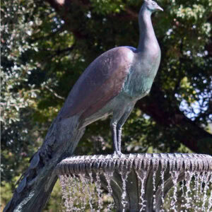 peacock sculpture sitting on the edge of a bowl with water flowing over the edges