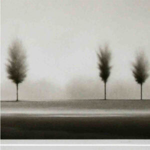 A zoomed in drawing of three trees.