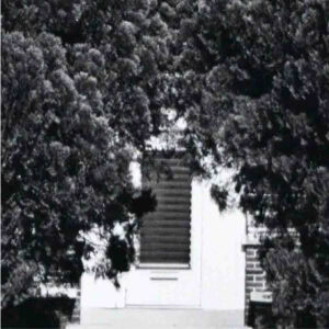 a photograph of two trees that are brushed against each other but leave a walkway to pass through that leads to a door.