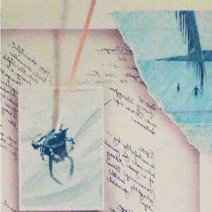 An art piece featuring layered images, including a palm tree, handwritten notes, and a crab. It includes multiple overlapping rectangles with faded photography.