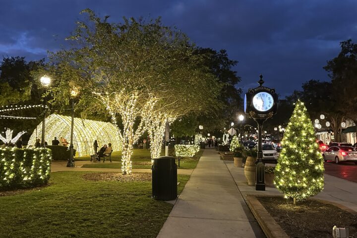 lights on trees and bushes on park avenue