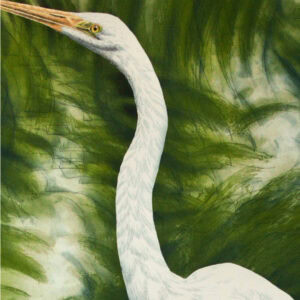 a white great egret bird with yellow beak.