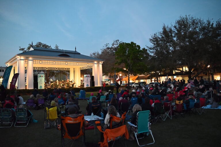 a bunch of people sitting on the grass and in lawn chairs in front of a stage listening to the orchestra perform.