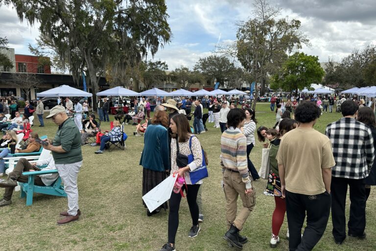 in a grass area people are sitting in chairs, standing and walking around browsing the tents along the sides of the grass.