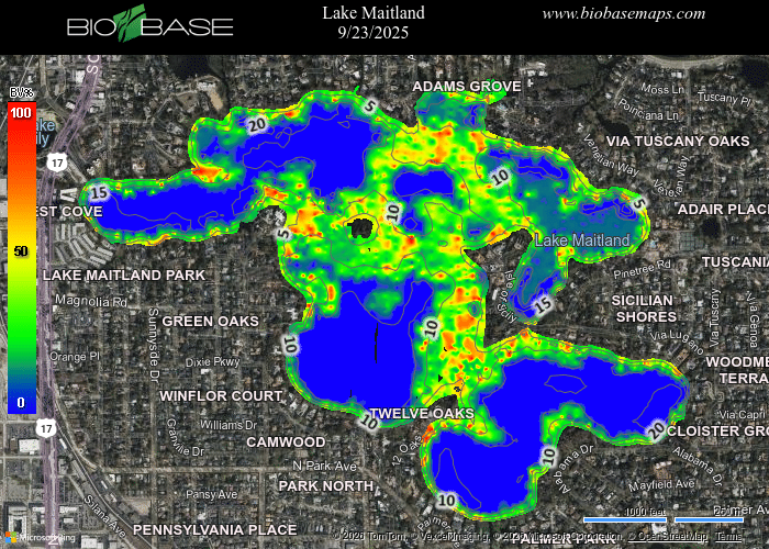 Heat map of Lake Maitland from 9/23/2025 showing vegetation density, with blue indicating low and red high density, overlaid on a satellite image with nearby neighborhoods labeled. BioBase and biobasemaps.com logos are present.