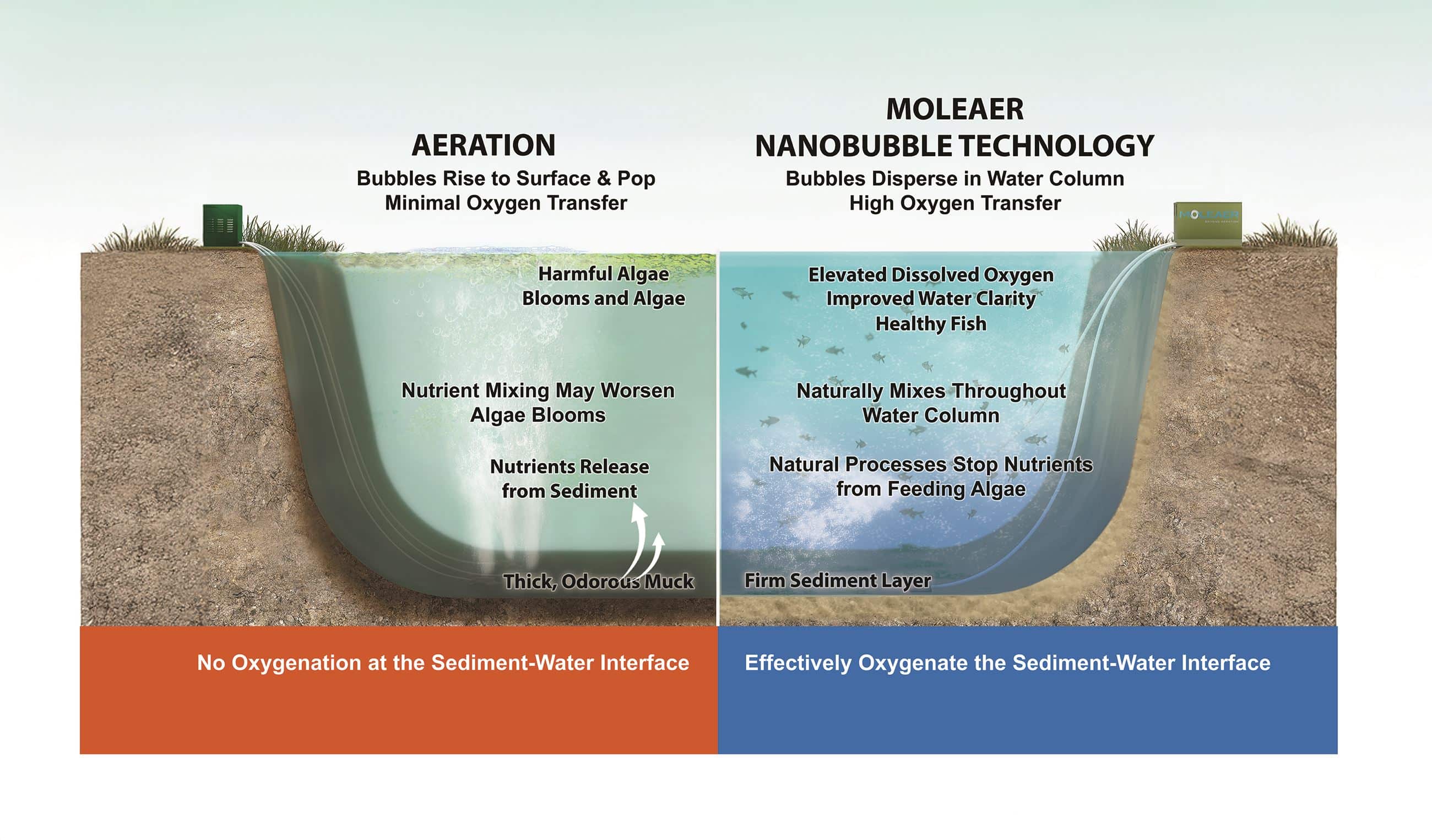 Aeration: Bubbles rise, low O₂, algae blooms. Moleaer’s Water Quality Improvement Project: high O₂, clear water.